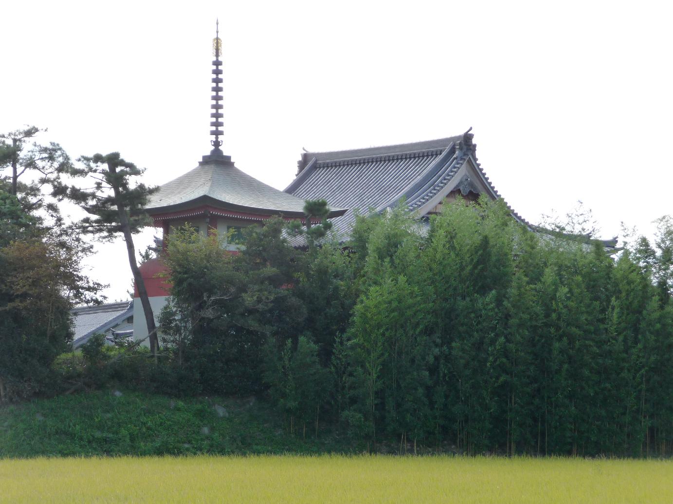 地泉院の歴史